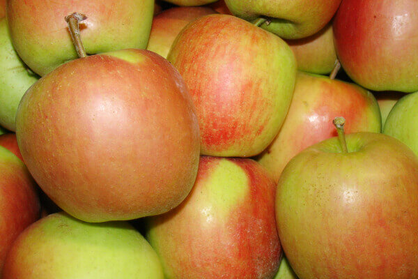 3 Appels Delbare Sissired